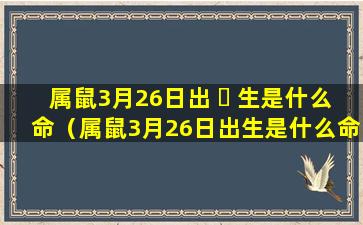 属鼠3月26日出 ☘ 生是什么命（属鼠3月26日出生是什么命格）